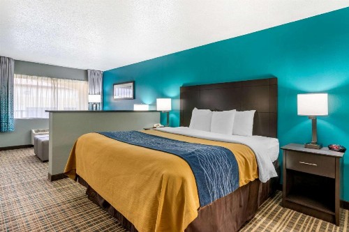 Comfort Inn Sun City Center-Tampa South - image 26