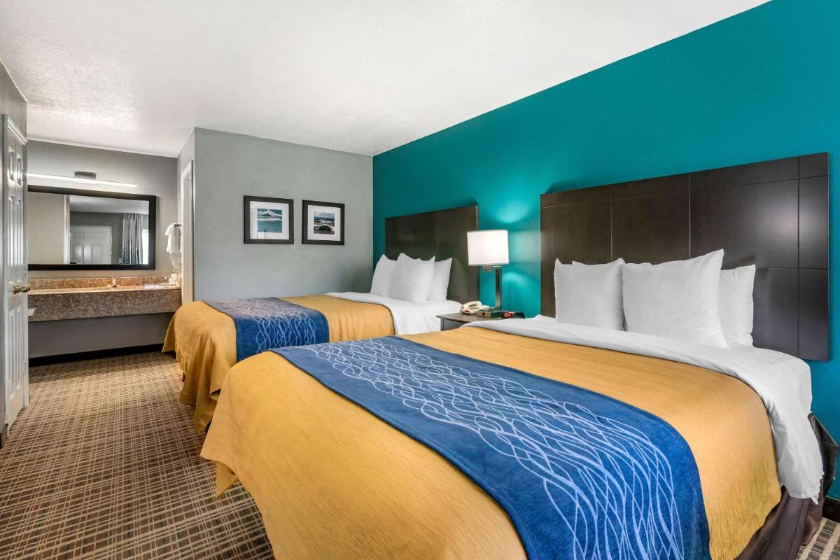 Comfort Inn Sun City Center-Tampa South - image 3