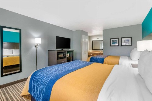 Comfort Inn Sun City Center-Tampa South - image 36