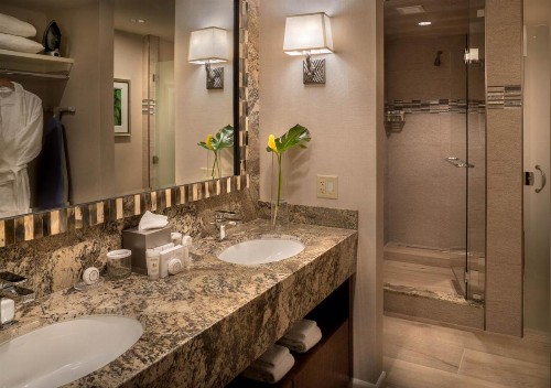 Sun Valley Resort - image 7