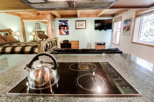 Sun Valley Atelier Studio - Chic Rustique - image 10