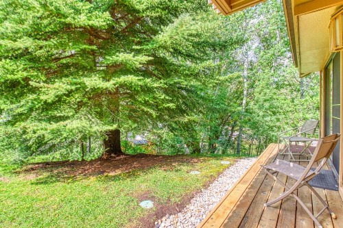 Baldy View Snowcreek - image 10