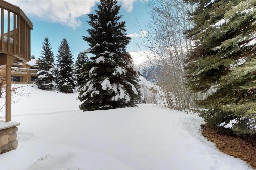 Baldy View Snowcreek - image 6