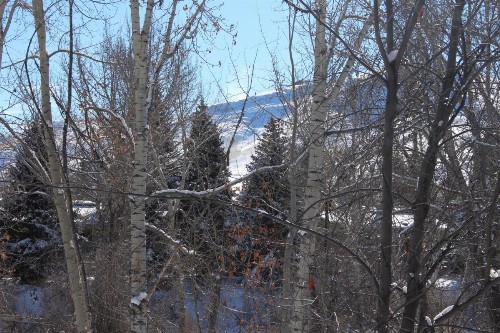 Delightful Atelier Getaway - image 12