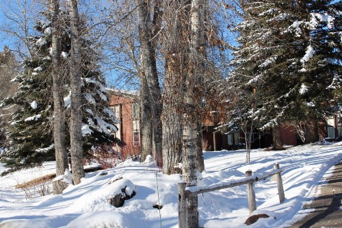 Delightful Atelier Getaway - image 8