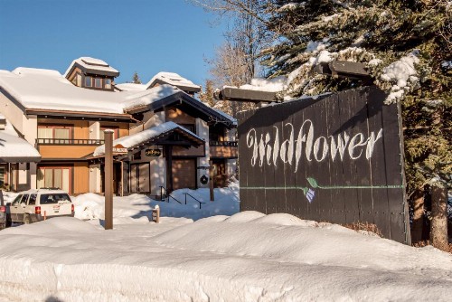 Wildflower Penthouse with Baldy Views - image 4