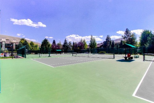 Dollar Meadows - image 8