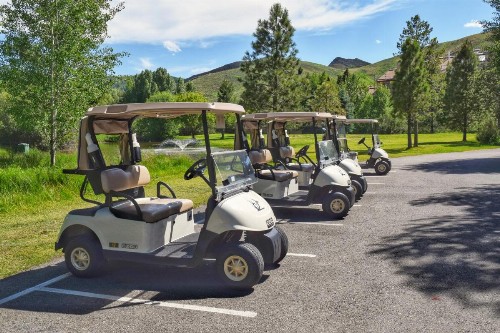Fairway Nine 4315 - image 11