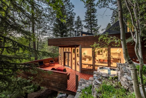 Modern Treehouse Home - image 1