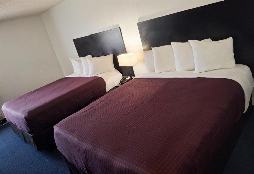 Quality Inn Sunnyside Heart of Wine Country - image 14