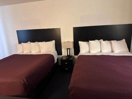 Quality Inn Sunnyside Heart of Wine Country - image 25