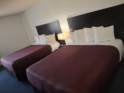 Quality Inn Sunnyside Heart of Wine Country - image 28