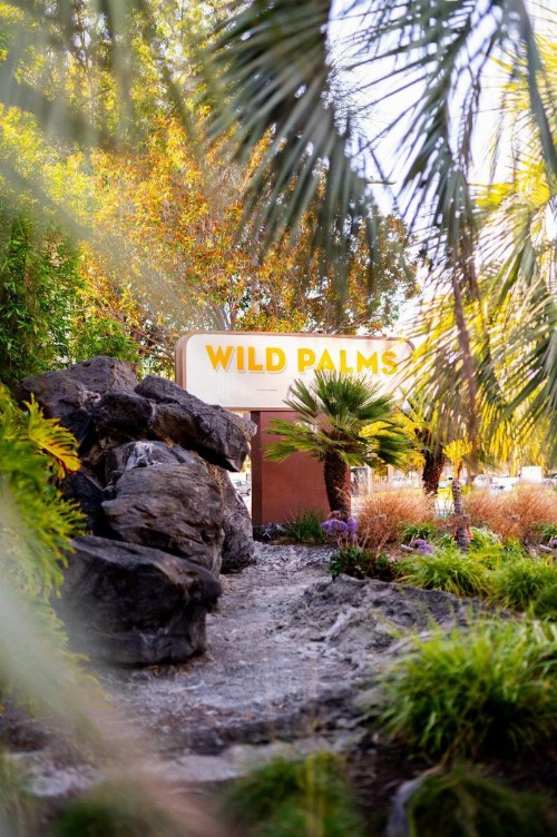 Wild Palms a JdV by Hyatt Hotel - image 19