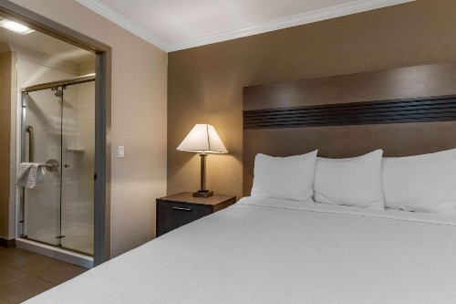 Best Western Silicon Valley Inn - image 18