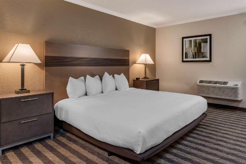 Best Western Silicon Valley Inn - image 20