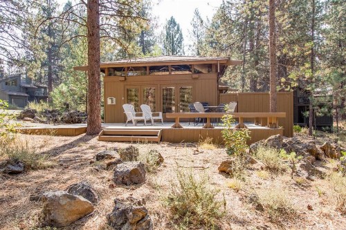 Coyote 20 - image 3