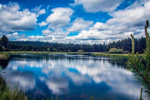 Cypress 10 - image 9