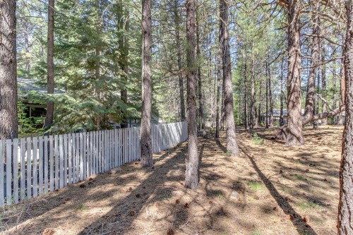 Cozy Jay Cabin - image 2