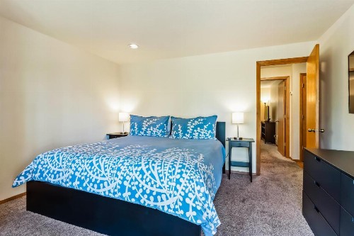 28 Cypress - image 10