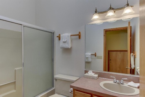 10 Yellow Rail - image 12