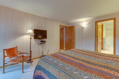 11 Blue Goose - image 10