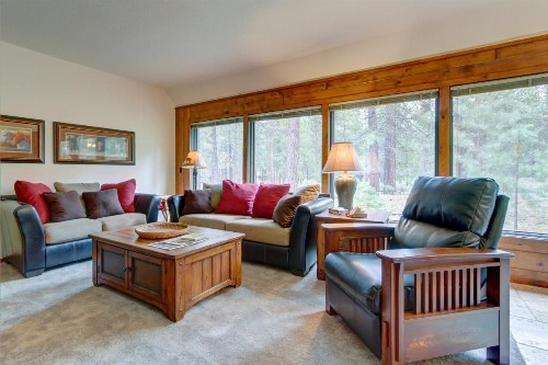 Conifer Lane - Lovely Woodland Setting - image 11