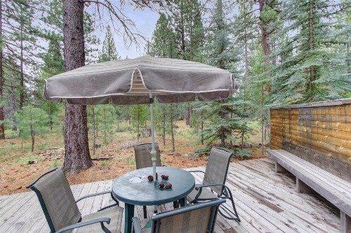 Conifer Lane - Lovely Woodland Setting - image 12