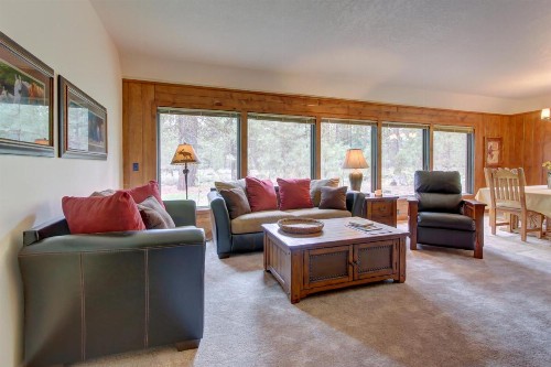 Conifer Lane - Lovely Woodland Setting - image 8