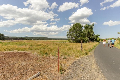 14 Antelope Lane - image 11