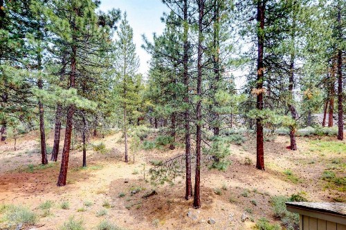 13 Deer Lane - image 6