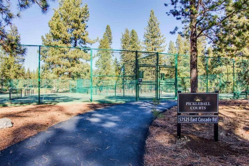 Filbert 3 - image 8