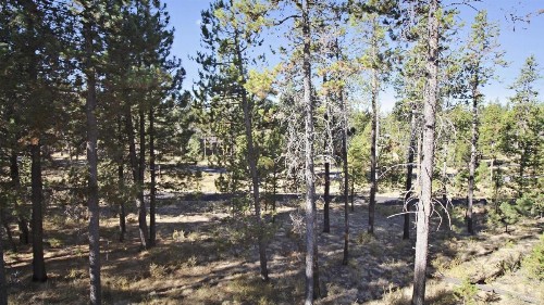 Wallowa 10 - image 36