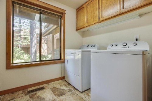 Redcedar 17 - image 30