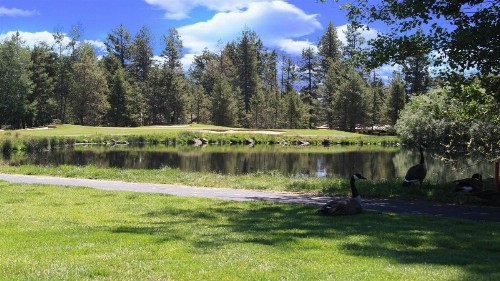 Fairway Village 32 - image 9