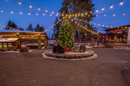 Sugar Pine - image 9