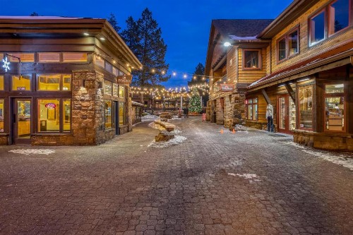 Sugar Pine - image 10