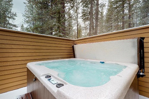 2 Conifer - image 7