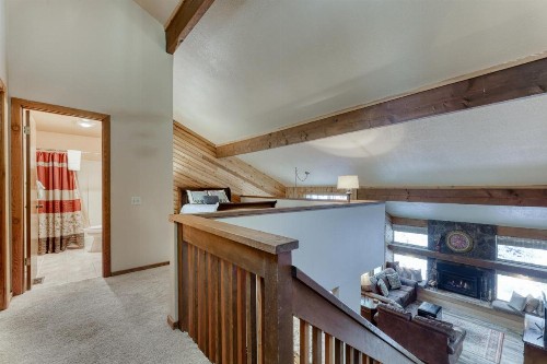 2 Conifer - image 8