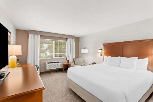 Comfort Inn & Suites - image 12