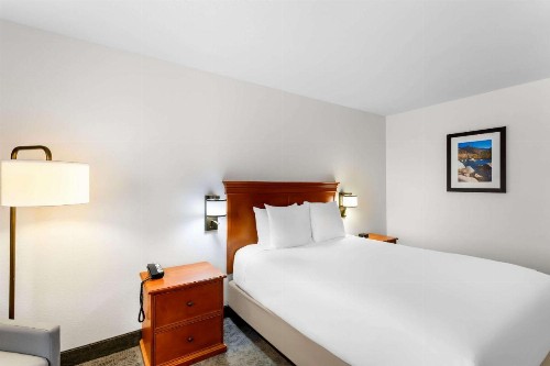 Comfort Inn & Suites - image 7