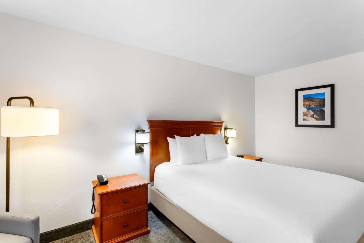 Comfort Inn & Suites - image 7