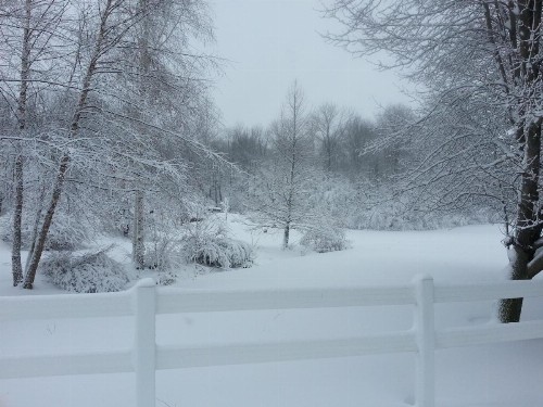 Brook Pointe Inn - image 17