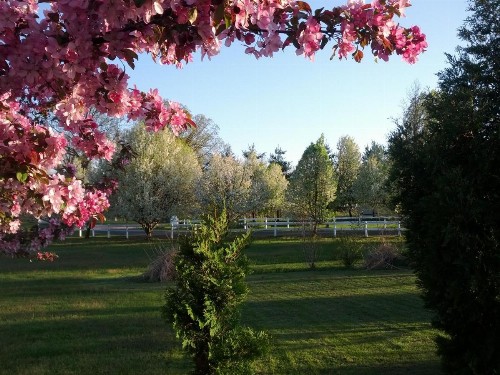 Brook Pointe Inn - image 26