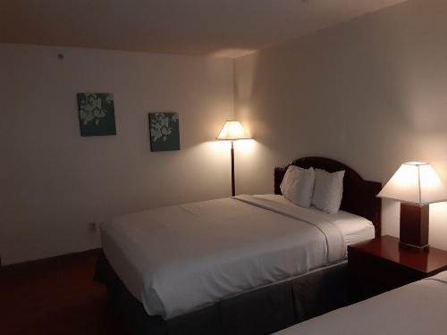 Economy Stay & Suites Tacoma - image 4