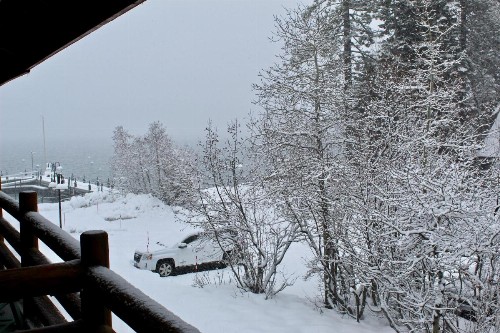 Sunnyside Resort and Lodge - image 2