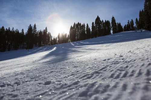 Granlibakken Tahoe - image 16