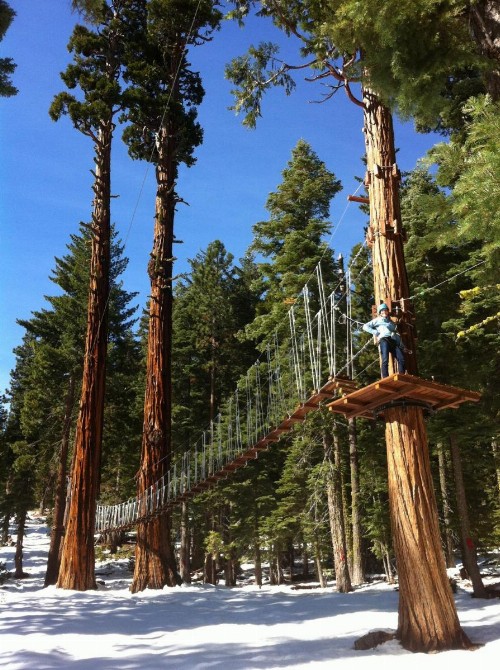 Granlibakken Tahoe - image 39