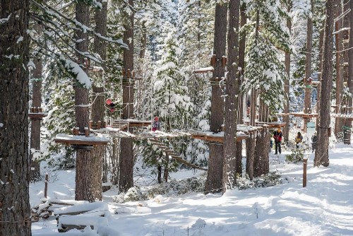 Granlibakken Tahoe - image 46