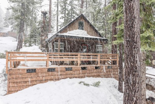 4175 Robert Ave Cabin - image 11