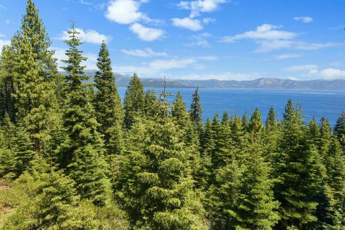 Shoreline Vista - image 10